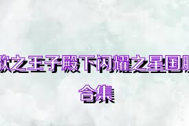 歌之王子殿下闪耀之星国服合集