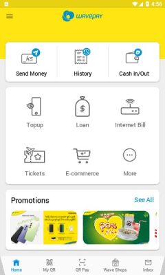 wavepay软件1