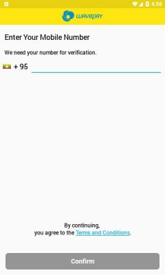 wavepay安装3