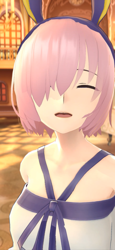 fategrandorderwaltz官网5