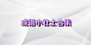 成语小壮士合集