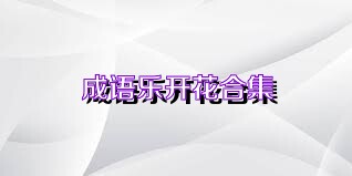 成语乐开花合集