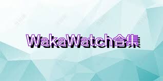 WakaWatch合集