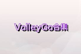 VolleyGo合集