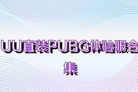 UU直装PUBG体验服合集