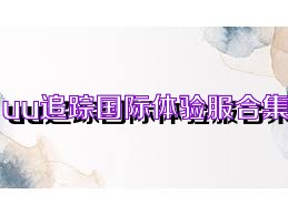 uu追踪国际体验服合集