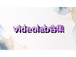 videolab合集