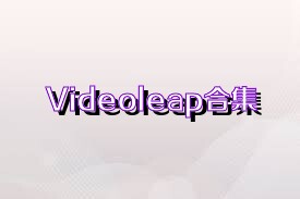 Videoleap合集