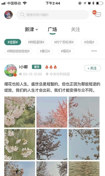 成都新津官网版2