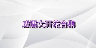 成语大开花合集