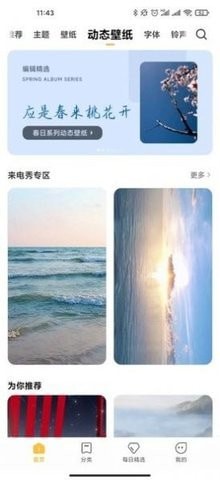 个性主题app2