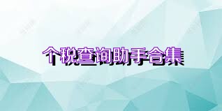 个税查询助手合集