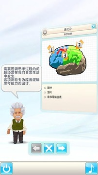 爱因斯坦脑力锻炼3