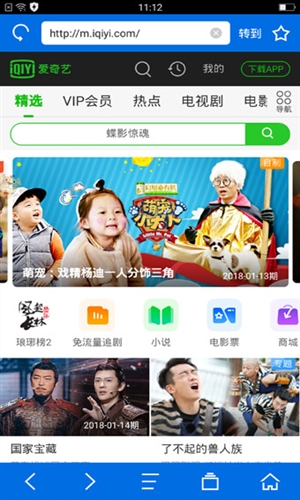 寰宇浏览器官网4