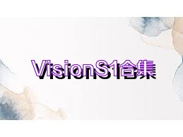 VisionS1合集