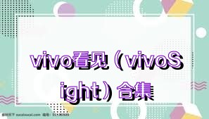 vivo看见（vivoSight）合集