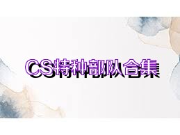 CS特种部队合集