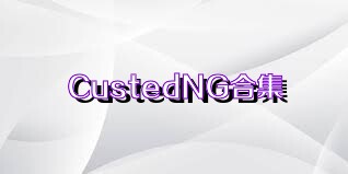 CustedNG合集