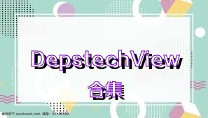 DepstechView合集