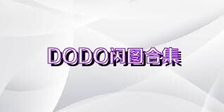 DODO闪图合集