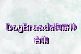 DogBreeds狗品种合集