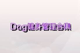 Dog健身管理合集