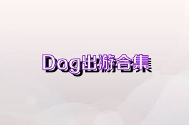 Dog出游合集