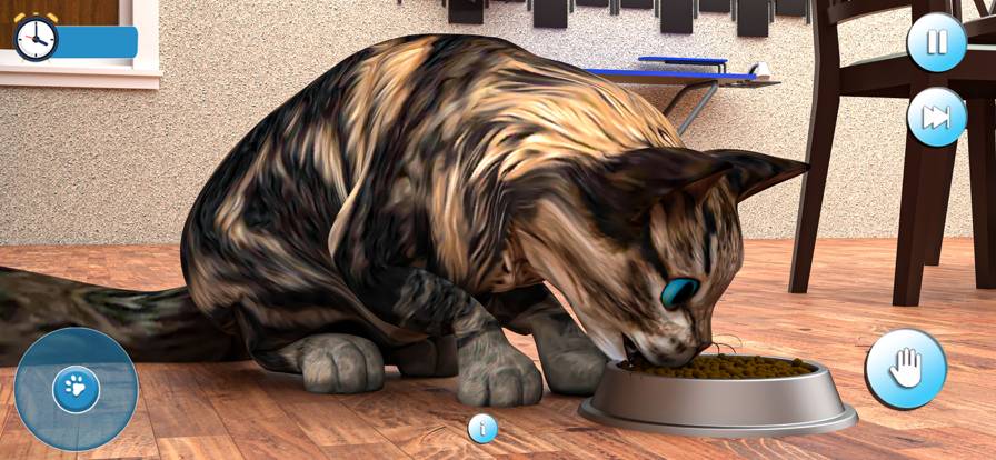 怀孕的猫和可爱的小猫游戏在线玩3