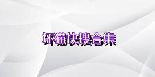 坏猫快搜合集