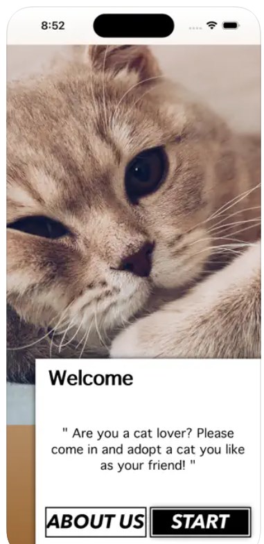 爱猫物语宠物店1.0app安卓版3