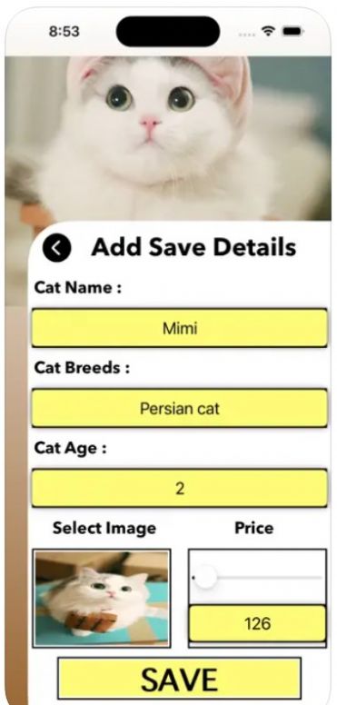 爱猫物语宠物店ios官方版3