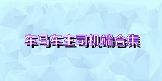 车马车主司机端合集