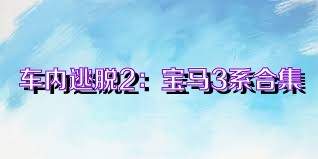 车内逃脱2：宝马3系合集