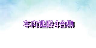 车内逃脱4合集