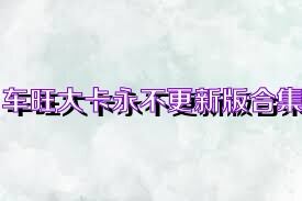 车旺大卡永不更新版合集
