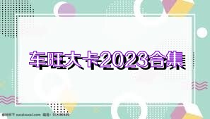 车旺大卡2023合集