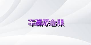车赢家合集