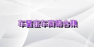 车置宝车商端合集