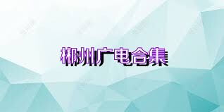 郴州广电合集