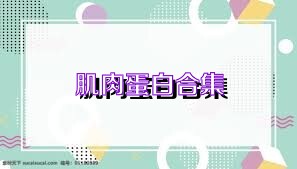 肌肉蛋白合集