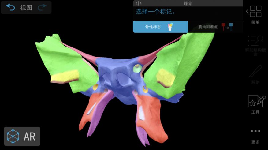 肌肉与运动机能学安卓破解版2