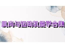 肌肉与运动机能学合集