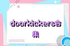 doorkickers合集