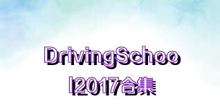 DrivingSchool2017合集