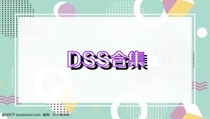 DSS合集