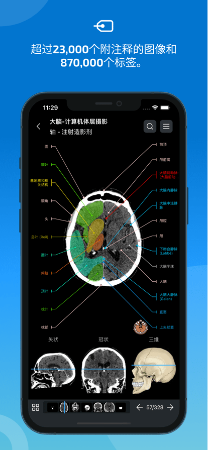 e-anatomy软件1