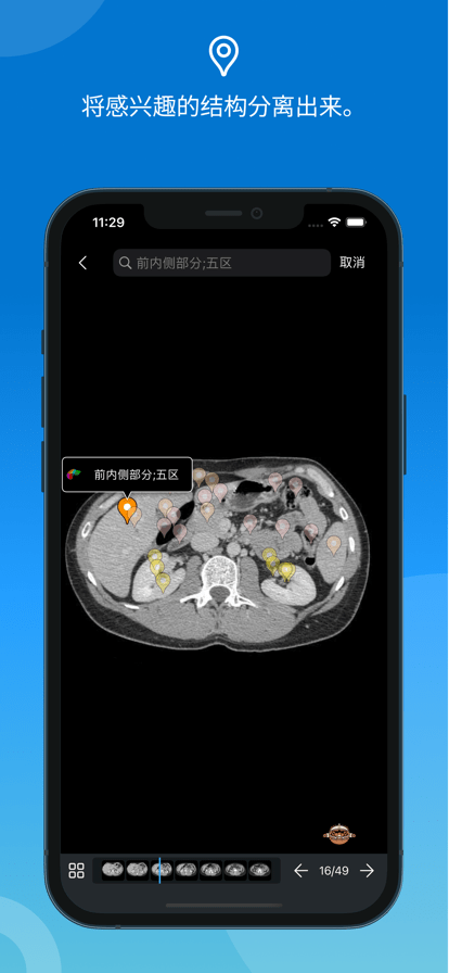 e-anatomy中文免费版3