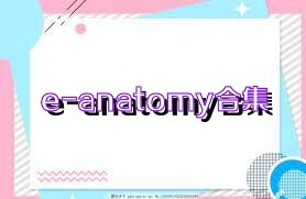 e-anatomy合集
