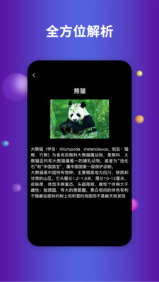 earth地球旧版本3
