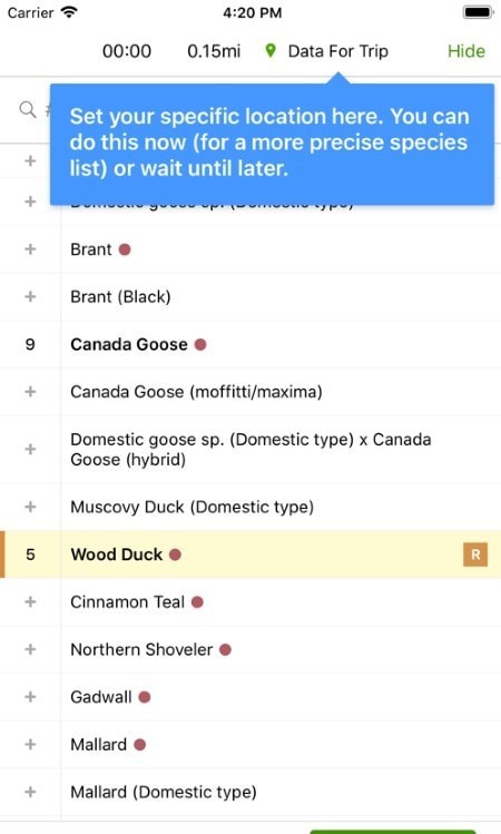 ebird app2
